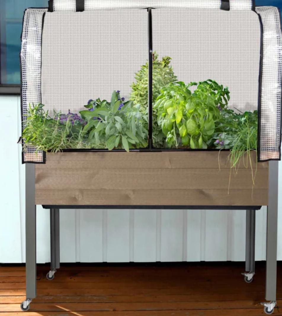 Self-Watering Elevated Spruce Planter with Greenhouse & Bug Cover